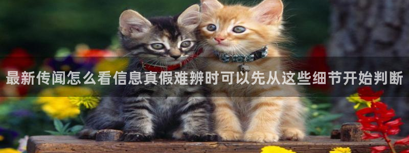 黑料爆料热门搜索