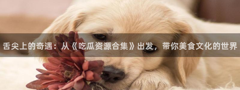 黑料爆料网络话题