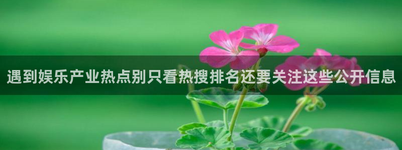黑料爆料资讯搜索