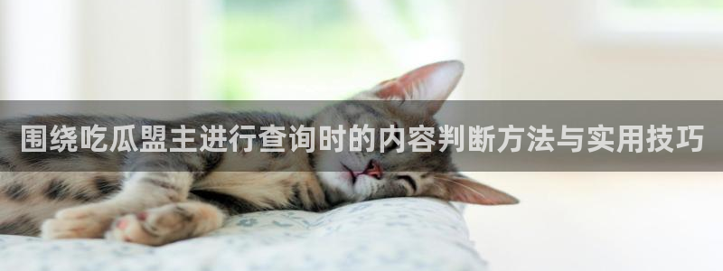 黑料热门资讯:围绕吃瓜盟主进行查询时的内容判断方法与实用技巧