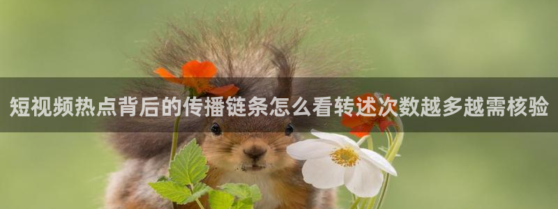 黑料爆料热点网:短视频热点背后的传播链条怎么看转述次数越多越需核验