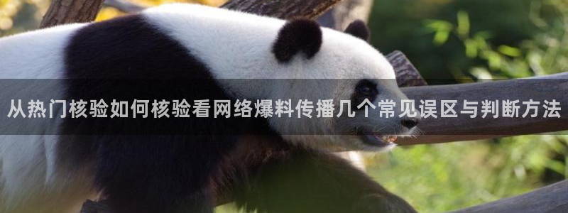 黑料热门新闻:从热门核验如何核验看网络爆料传播几个常见误区与判断方法