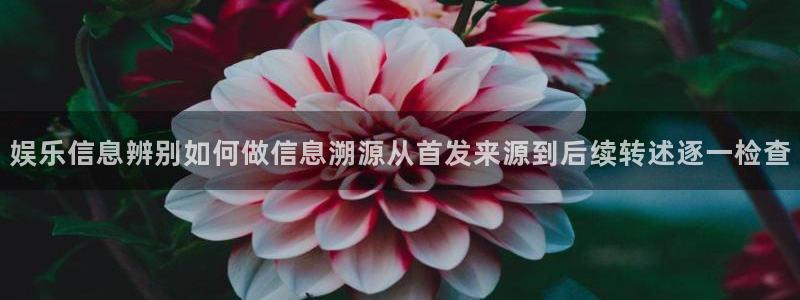 黑料热门新闻:娱乐信息辨别如何做信息溯源从首发来源到后续转述逐一检查